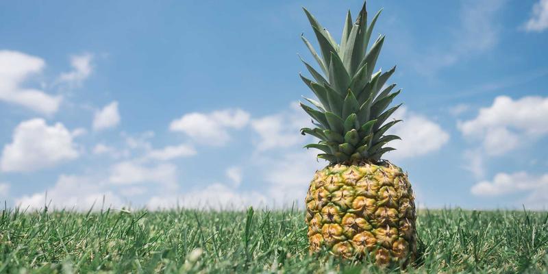 软件定义网络（SDN）如何重构数据中心网络架构：后端开发与云计算的变革引擎