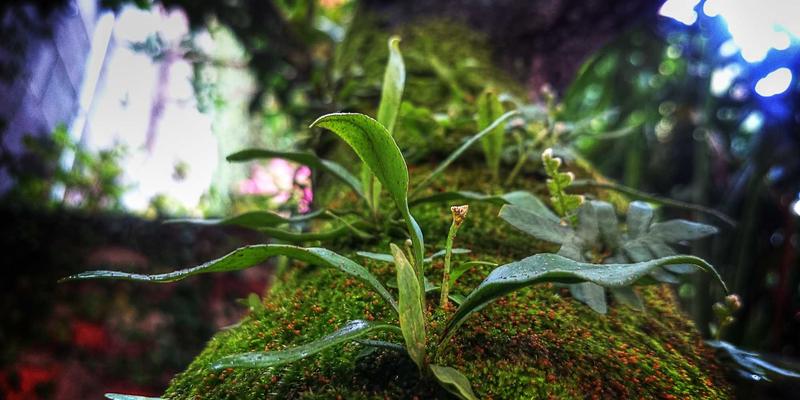 零信任架构实战指南:从编程开发到企业内网防护的深度部署策略